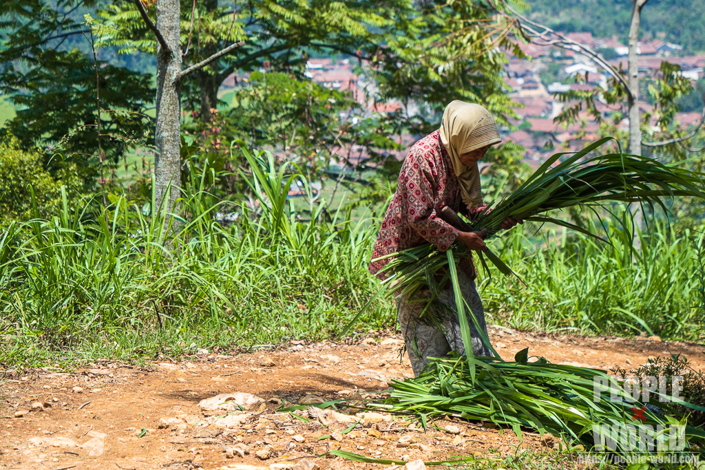 インドネシアの山で働く女性